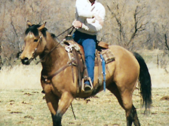 Dan on Lady(3) (1)