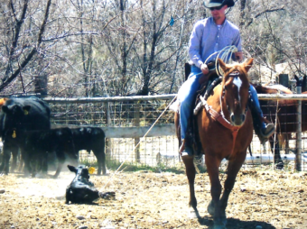Matt roping calf (1)
