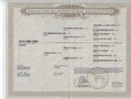 CLR I AMA HAM AQHA PAPERS